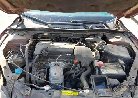 2013 Honda Accord Lx z USA, uszkodzony, nr VIN 1HGCR2F39DA193475